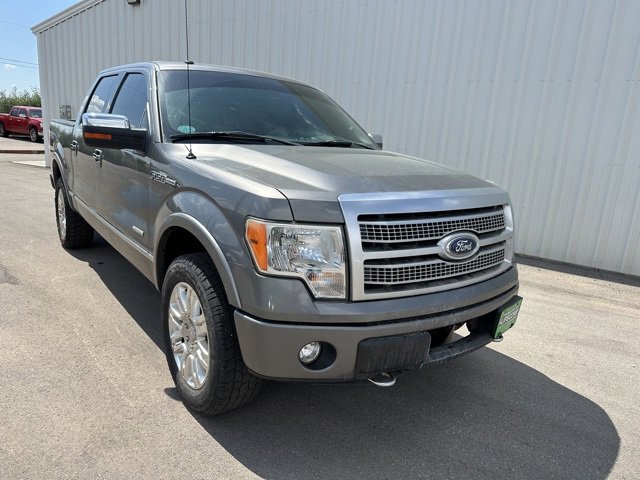 Used 2011 Ford F150 Platinum