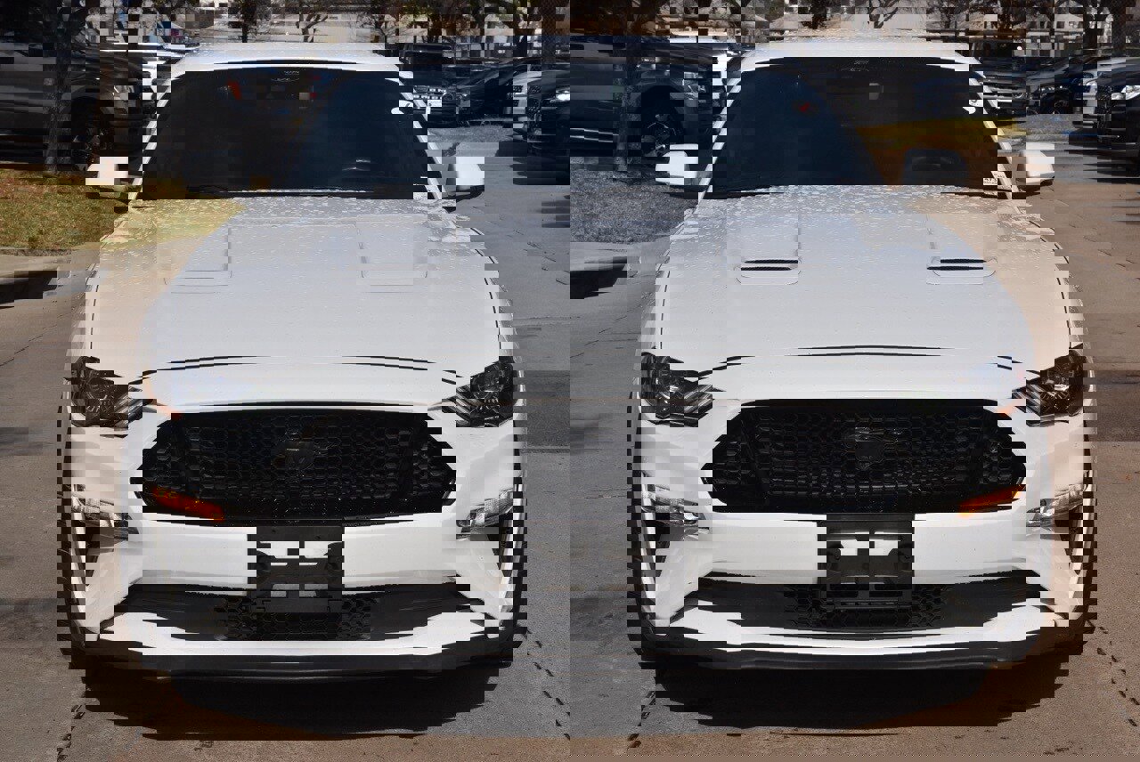 Used 2022 Ford Mustang GT Premium w/ Equipment Group 401A image 3