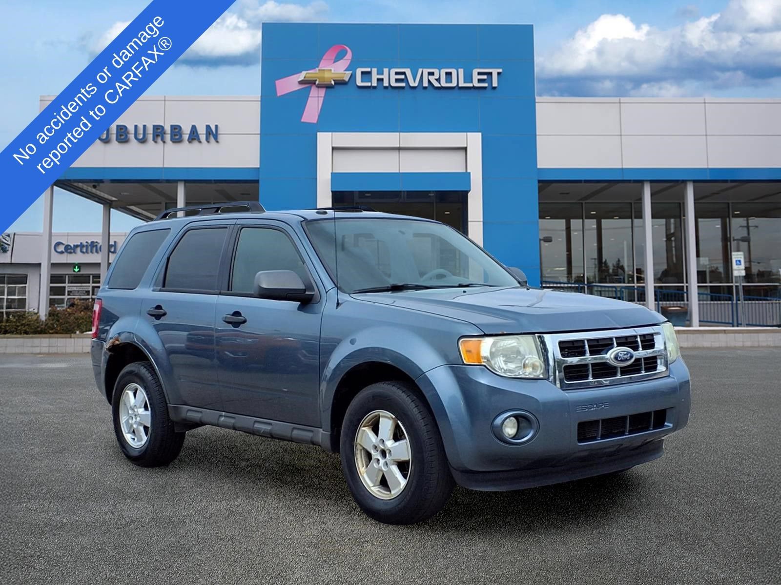 Used 2010 Ford Escape XLT FWD image 3