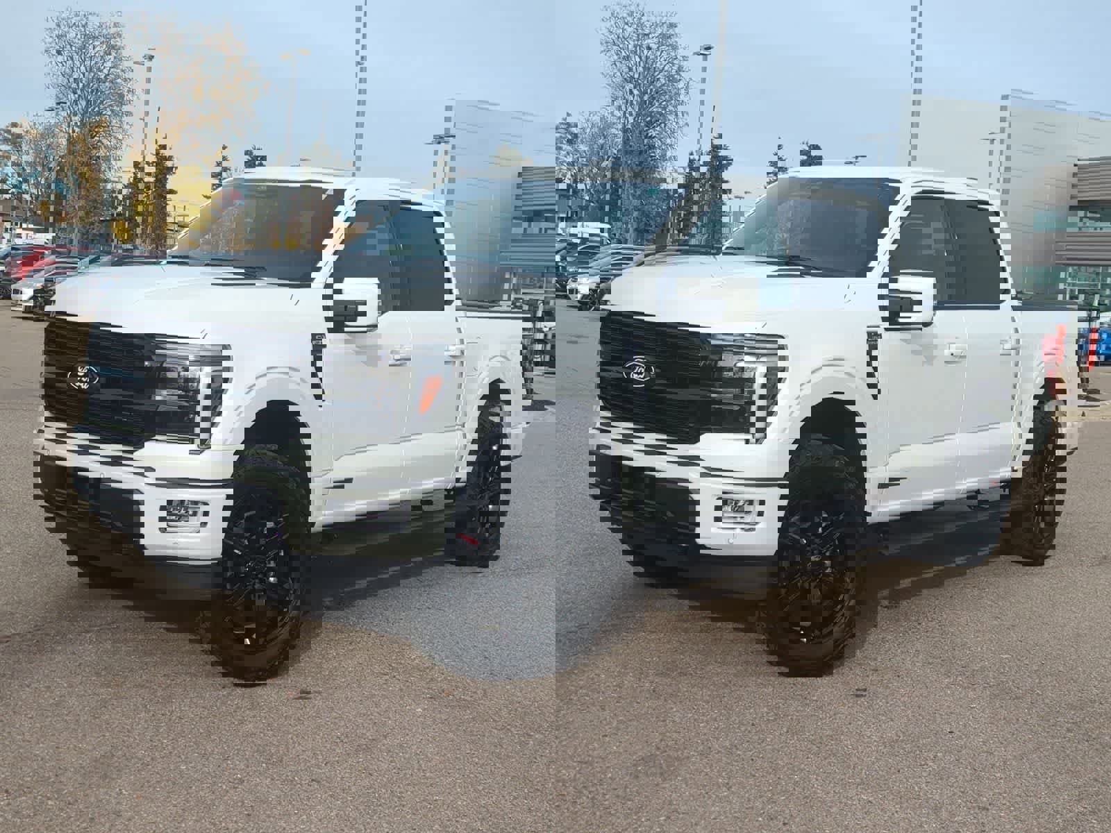 Used 2025 Ford F150 Platinum w/ Equipment Group 702A High image 1