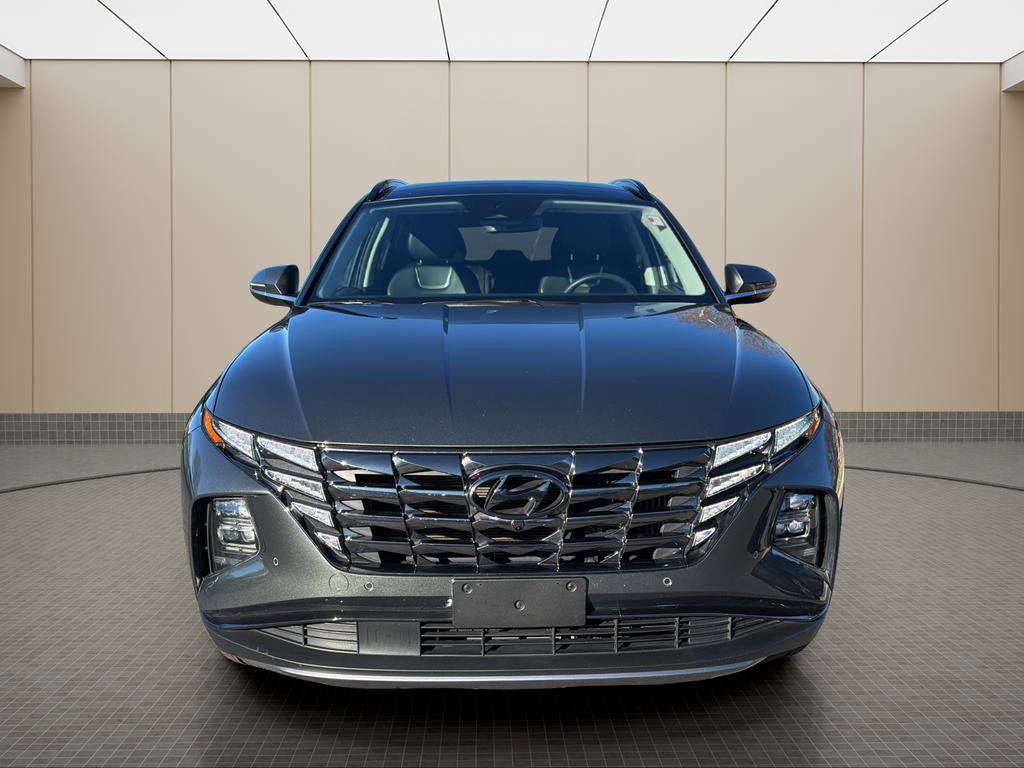 Certified 2024 Hyundai Tucson Limited image 8