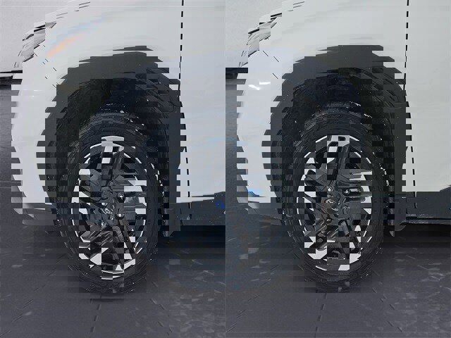 Certified 2025 Subaru Forester Limited image 14