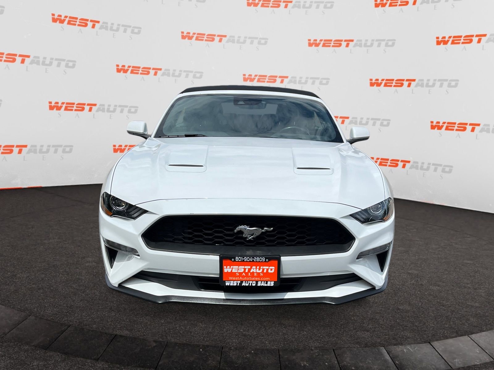 Used 2023 Ford Mustang Premium image 8