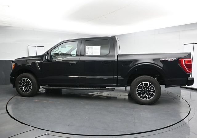 Used 2023 Ford F150 XLT w/ Equipment Group 302A High AWD/4WD image 2