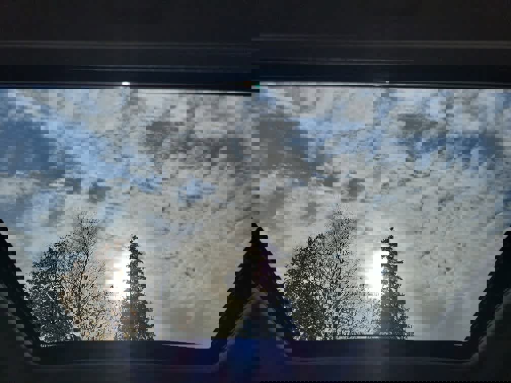 Used 2020 Subaru Forester Limited image 13