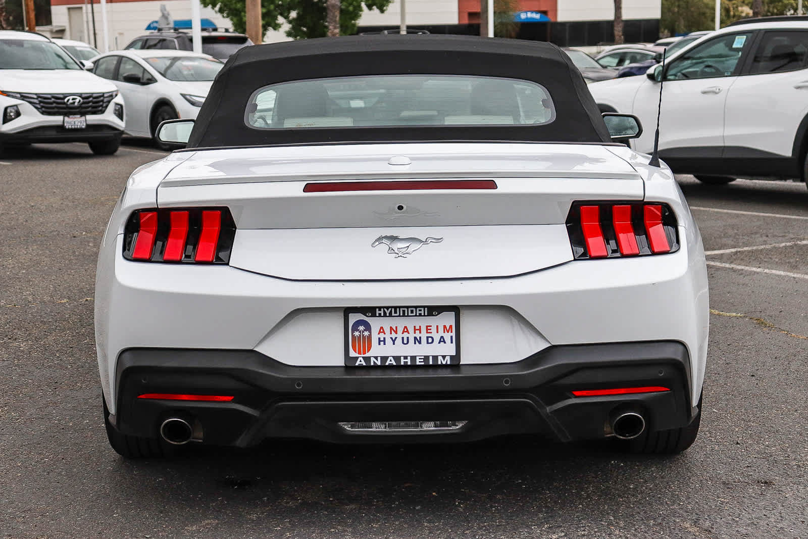 Used 2024 Ford Mustang Premium RWD image 8