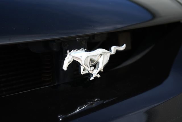 Used 1997 Ford Mustang Cobra image 13