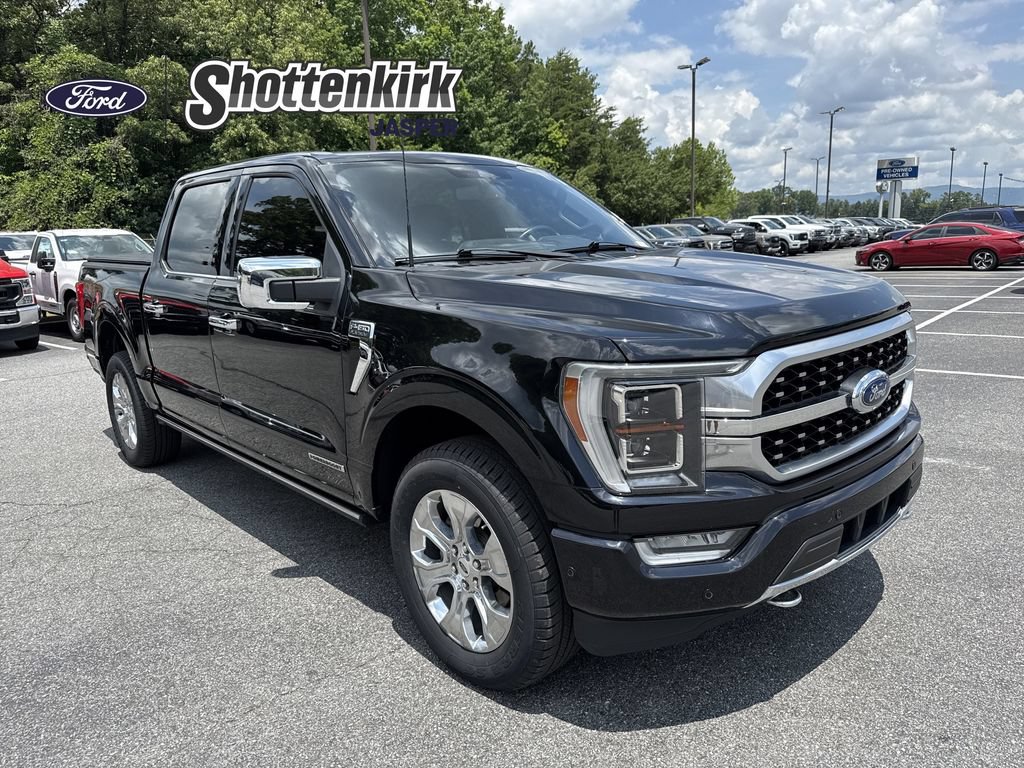 Used 2022 Ford F150 Platinum w/ Equipment Group 701A High