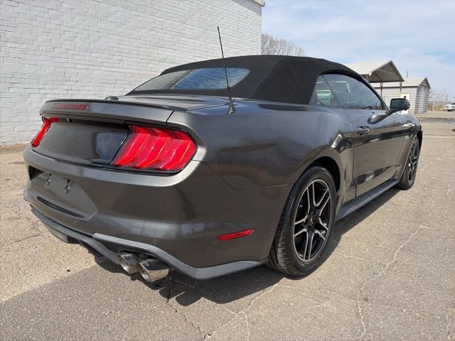 Used 2019 Ford Mustang GT Premium w/ Equipment Group 401A image 3