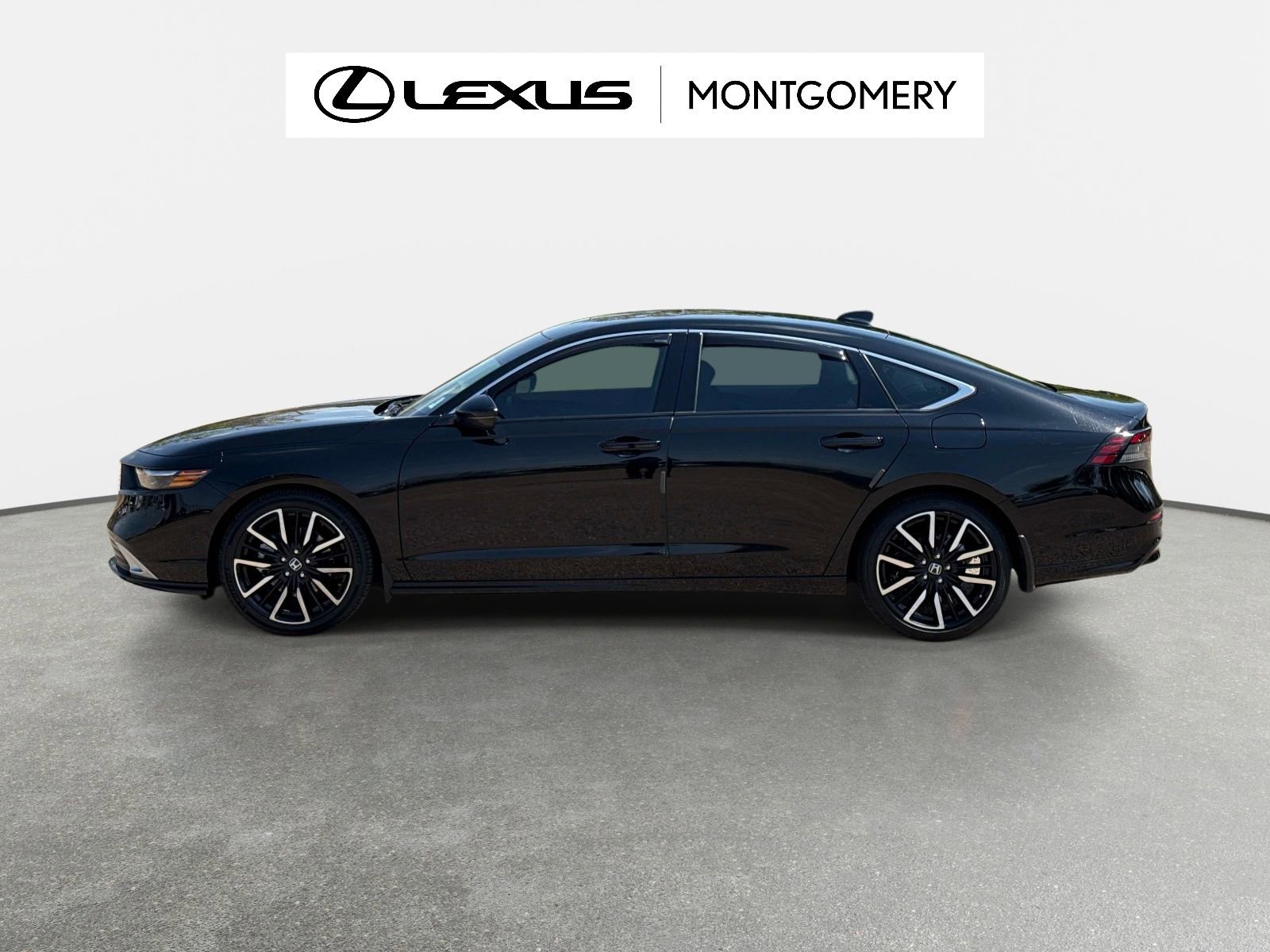 Used 2024 Honda Accord Touring image 6