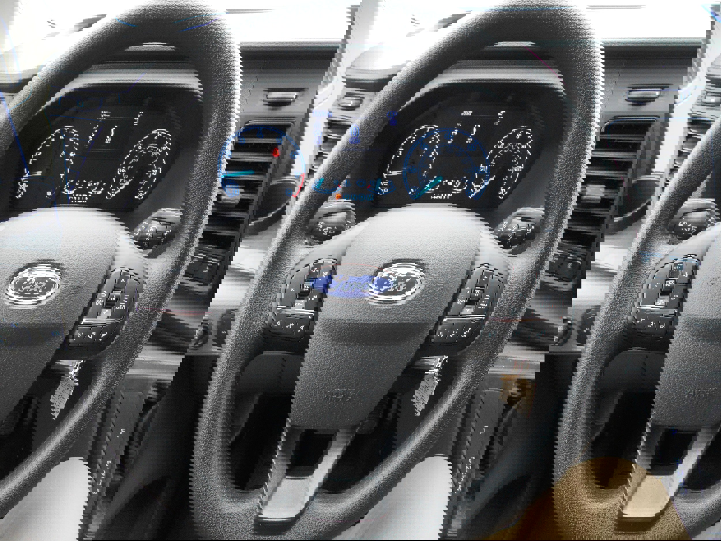 Used 2025 Ford Transit 250 Low Roof w/ Exterior Upgrade Package image 13