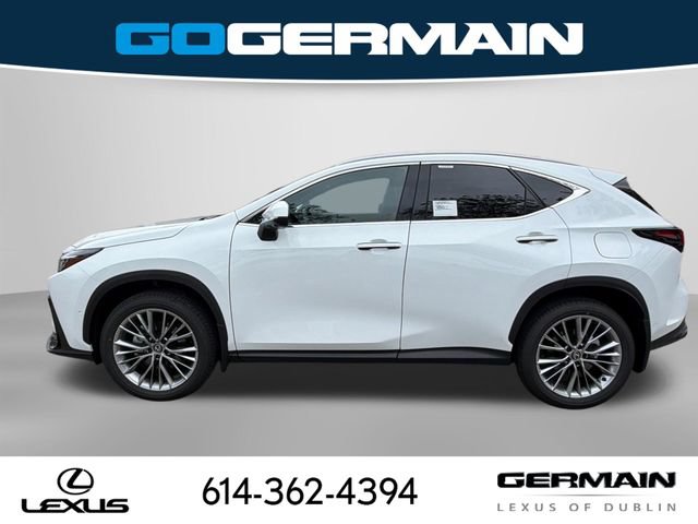 New 2026 Lexus NX 350 AWD w/ Accessory Package (2T) image 11