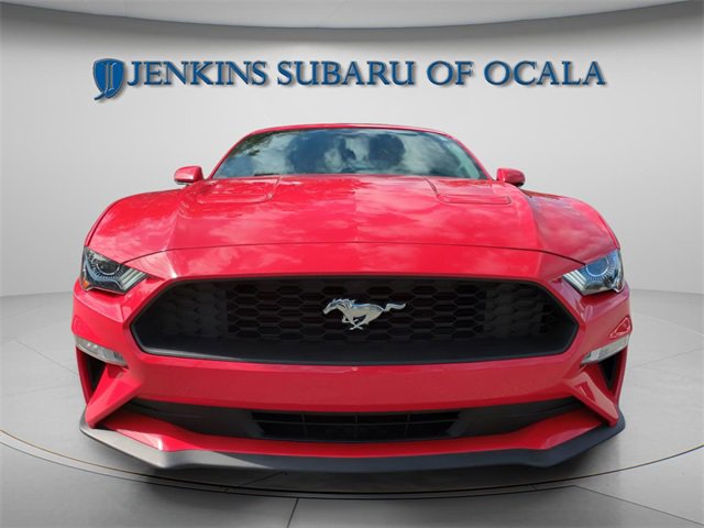 Used 2019 Ford Mustang Premium w/ Equipment Group 201A image 3
