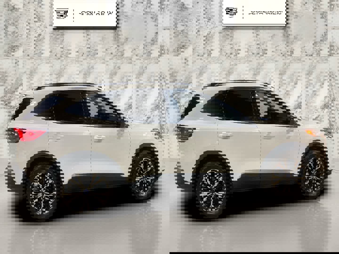 Used 2021 Ford Escape SE w/ SE Sport Appearance Package image 6