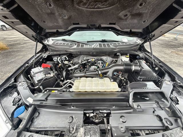 Used 2023 Ford F150 XLT w/ Equipment Group 302A High image 29