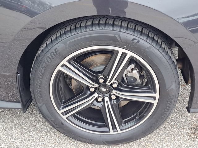 Used 2024 Ford Mustang Premium RWD image 20