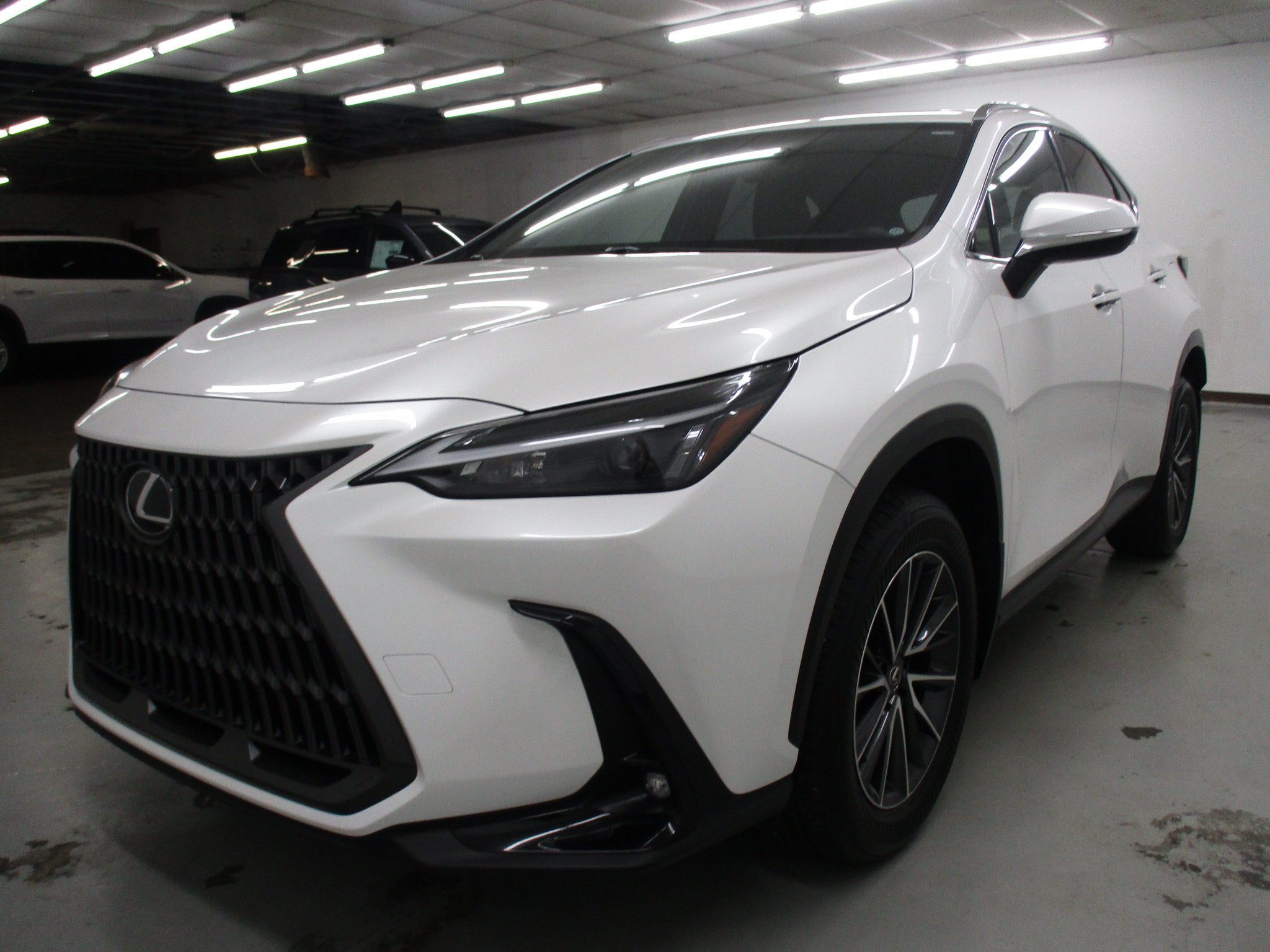 Used 2024 Lexus NX 350 AWD w/ Cold Area Package image 3