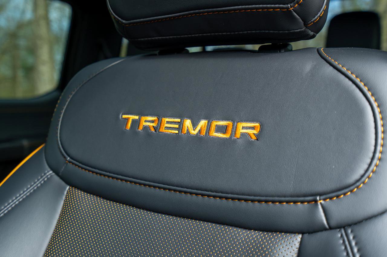 Used 2025 Ford F150 Tremor w/ Equipment Group 402A High AWD/4WD image 19