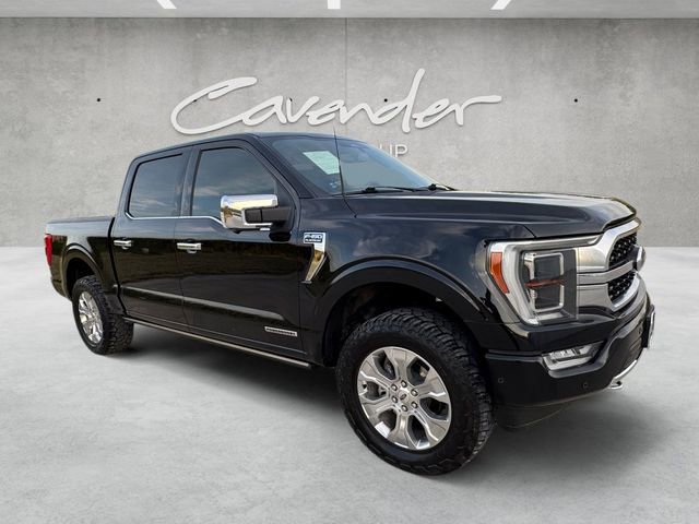 Used 2023 Ford F150 Platinum w/ Equipment Group 701A High AWD/4WD image 2