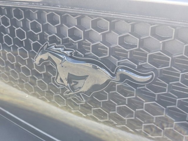 Used 2017 Ford Mustang GT Premium w/ Black Accent Package image 15