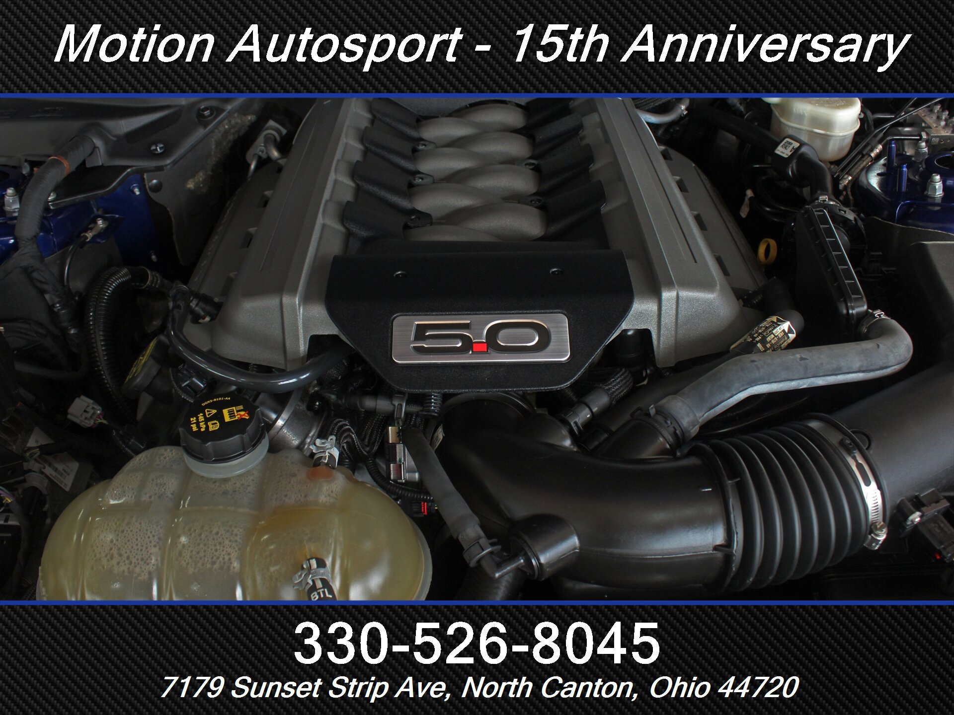 Used 2015 Ford Mustang GT Premium w/ 50 Years Appearance Package RWD image 13