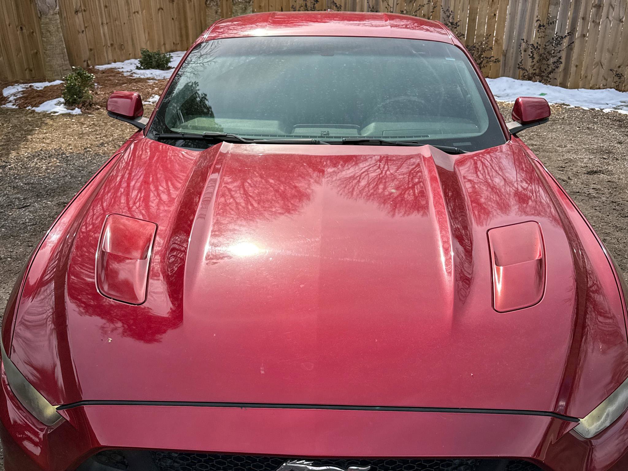 Used 2016 Ford Mustang GT Premium image 18