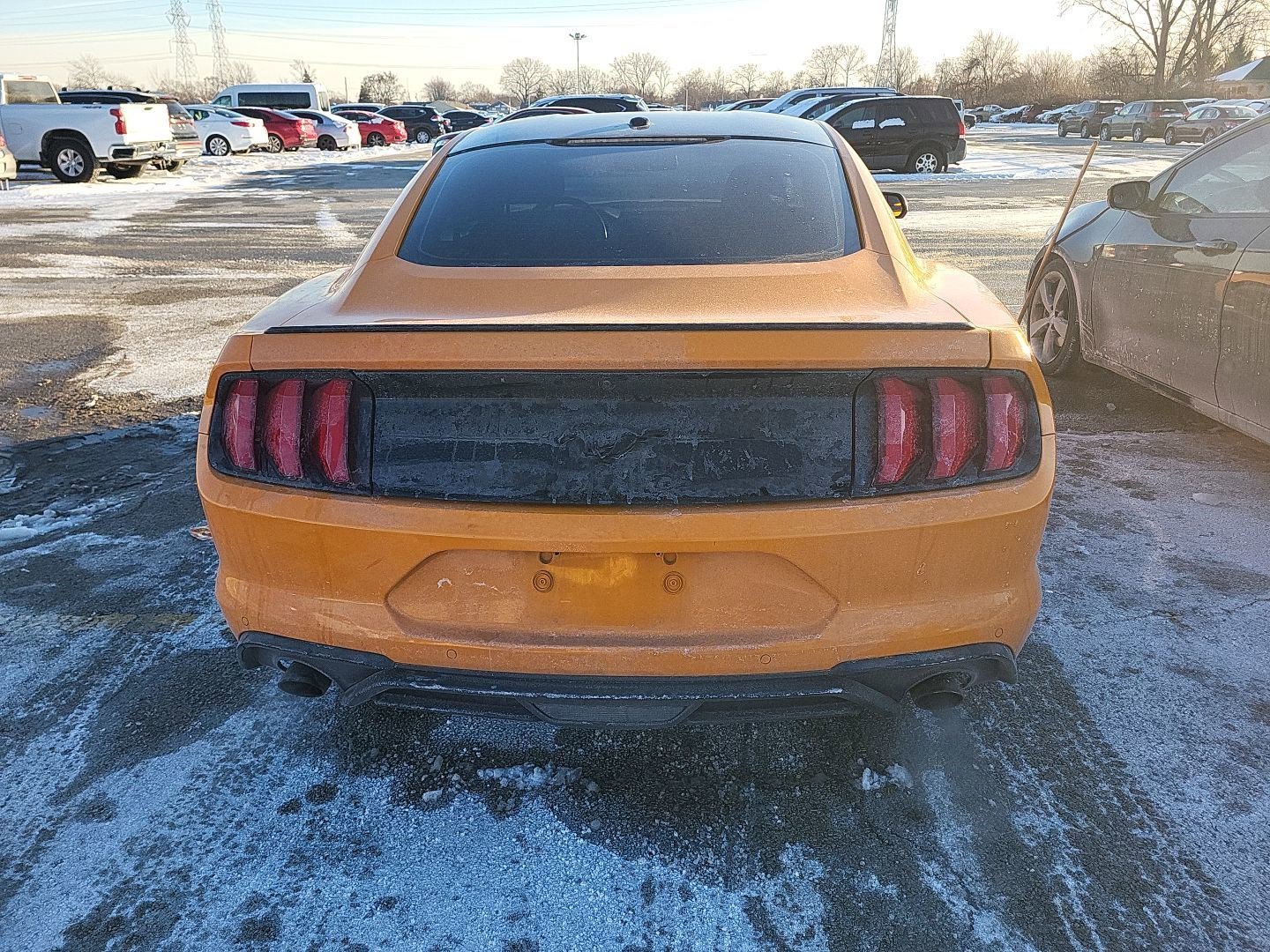 Used 2019 Ford Mustang Coupe w/ Equipment Group 101A image 4