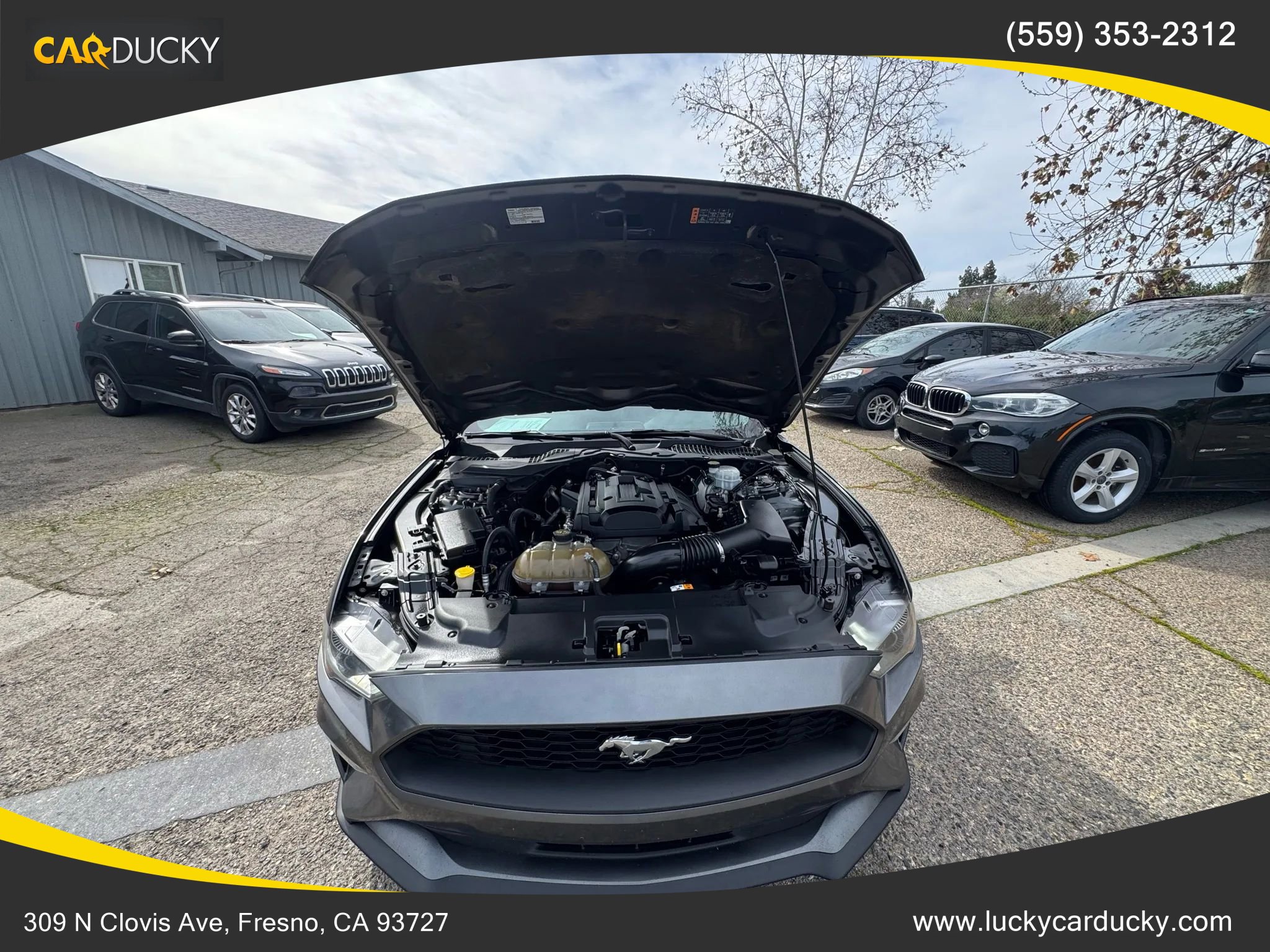 Used 2018 Ford Mustang Coupe w/ Equipment Group 101A image 24