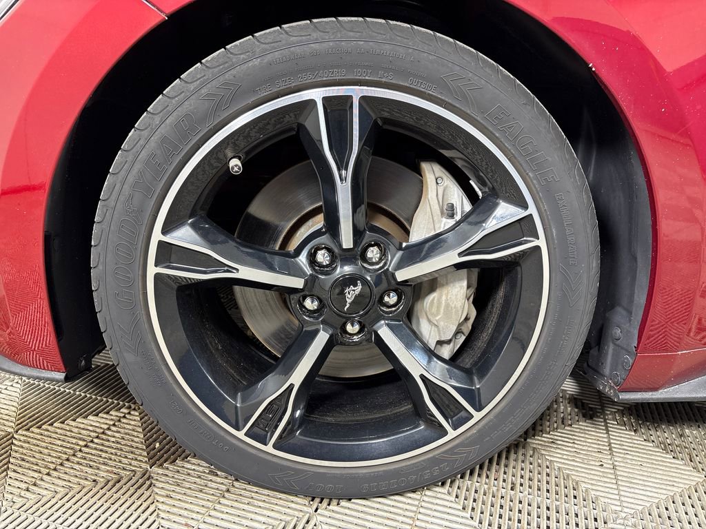 Certified 2017 Ford Mustang GT Premium image 14