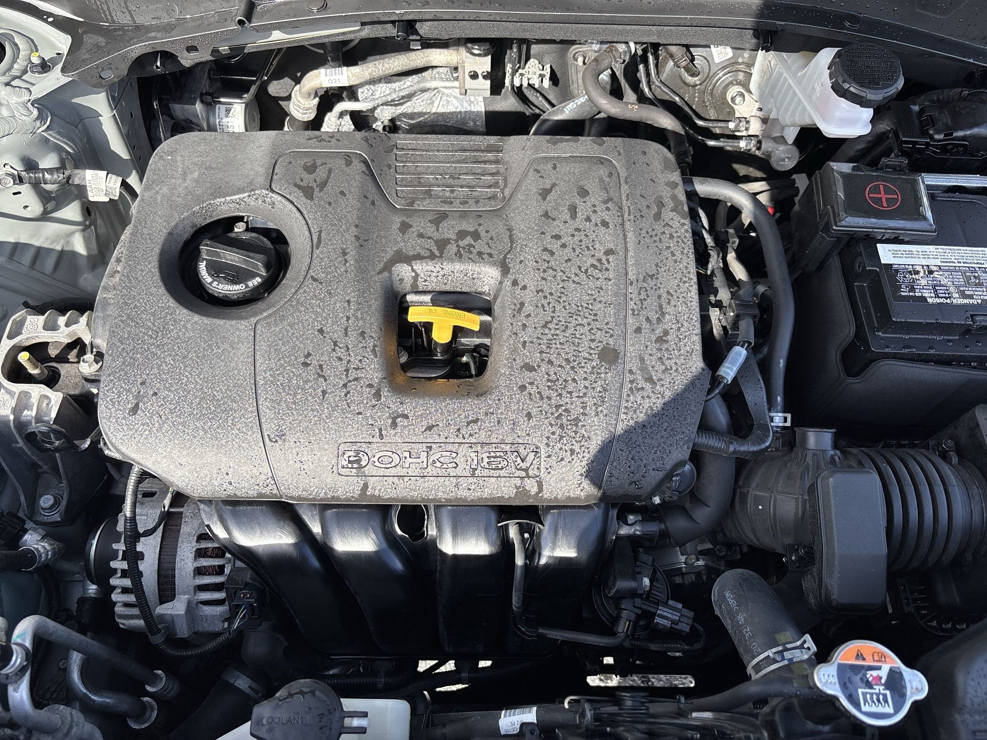 Used 2024 Kia Seltos EX FWD image 17