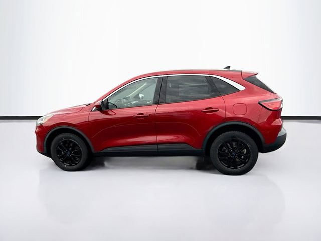 Certified 2020 Ford Escape SE image 4