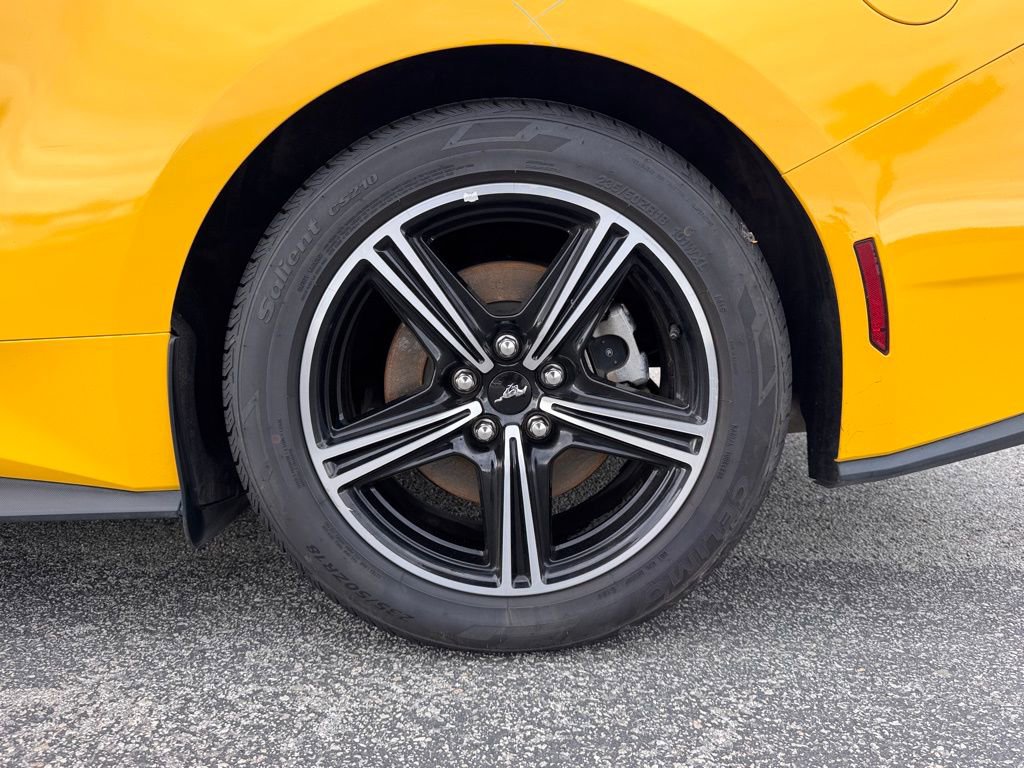 Used 2024 Ford Mustang EcoBoost image 10