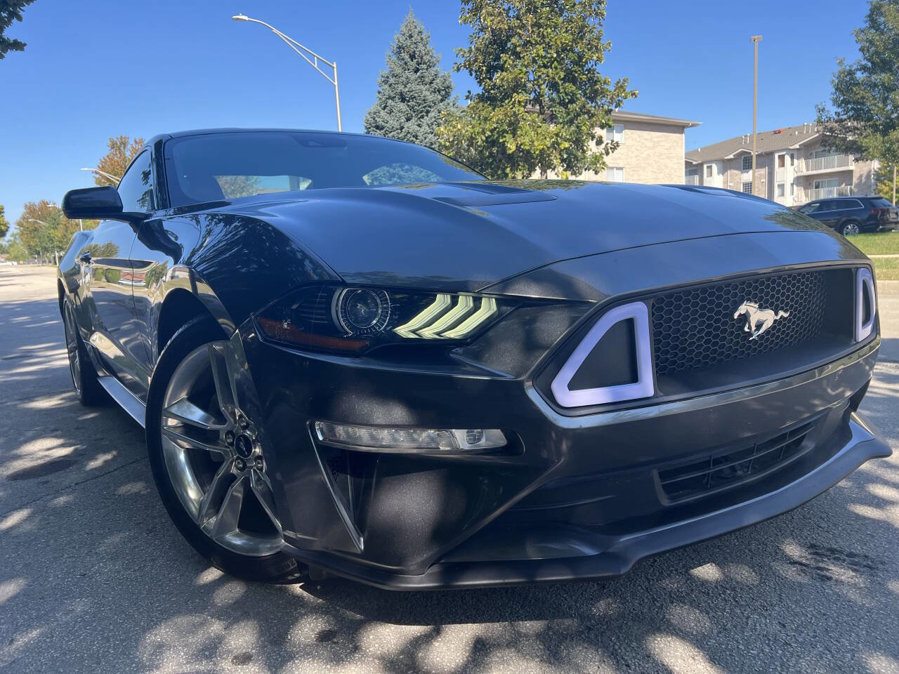 Used 2020 Ford Mustang Premium w/ Equipment Group 201A RWD image 1