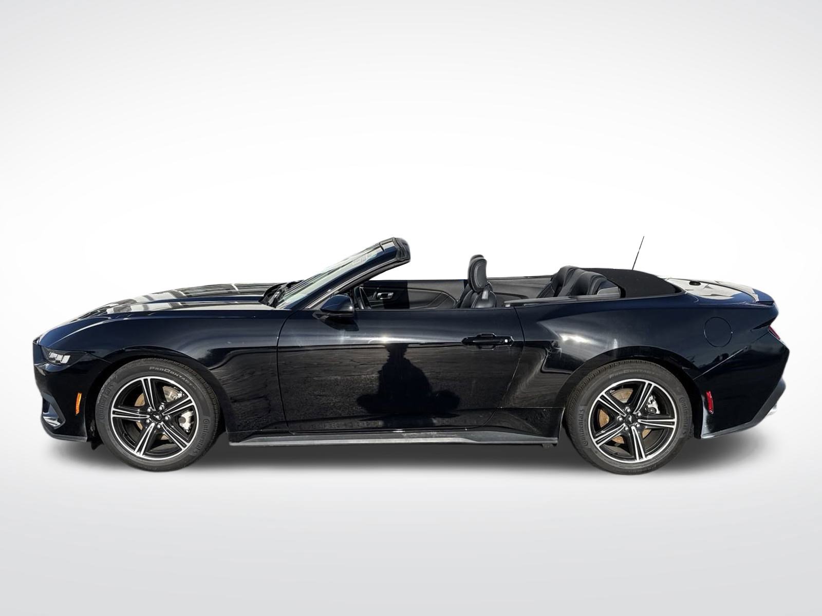 Certified 2024 Ford Mustang Premium image 5