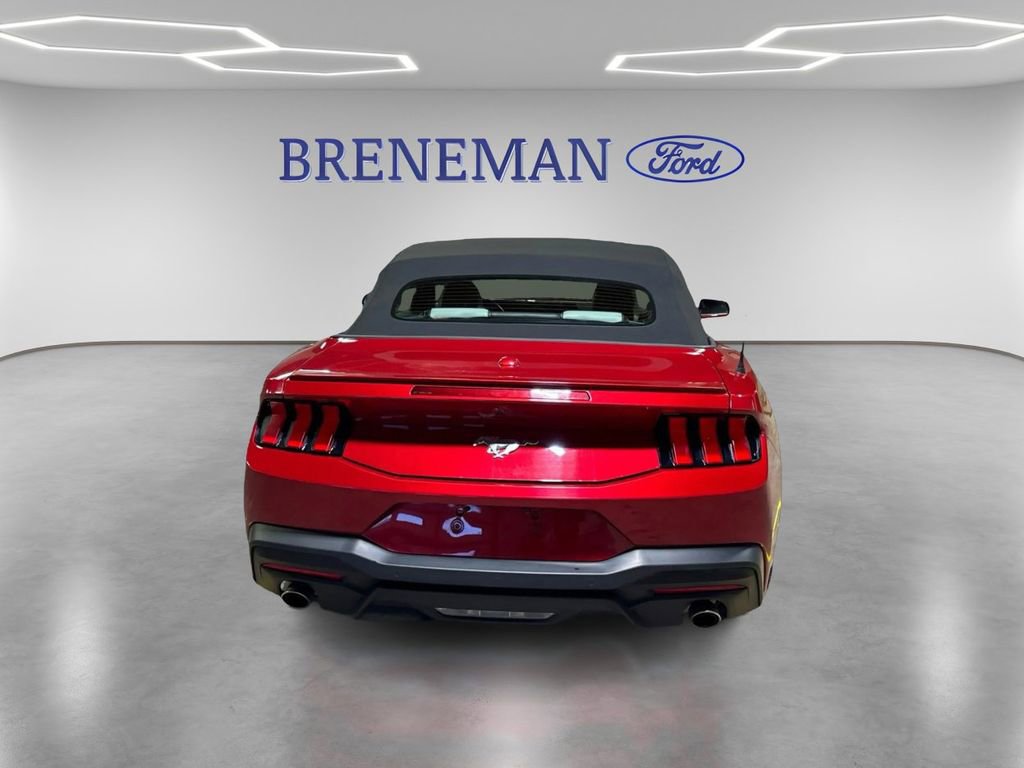 Used 2024 Ford Mustang Premium image 6