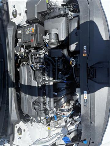 New 2026 Hyundai Elantra Sport w/ Cargo Package image 16