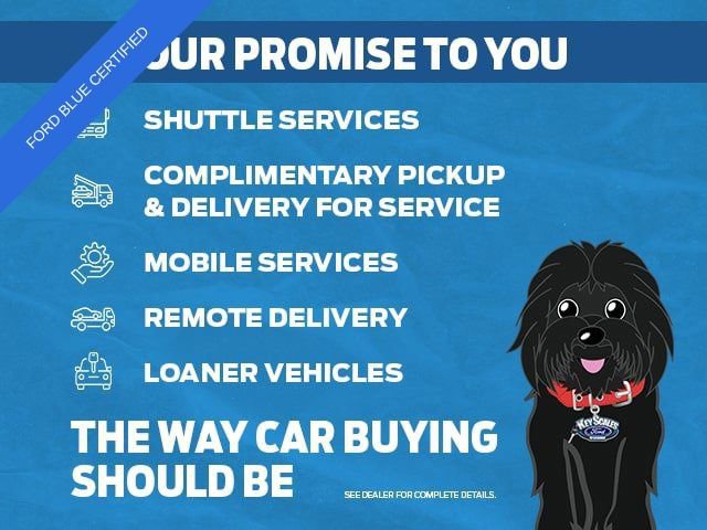 Used 2018 Ford Edge Titanium w/ Equipment Group 301A FWD image 3