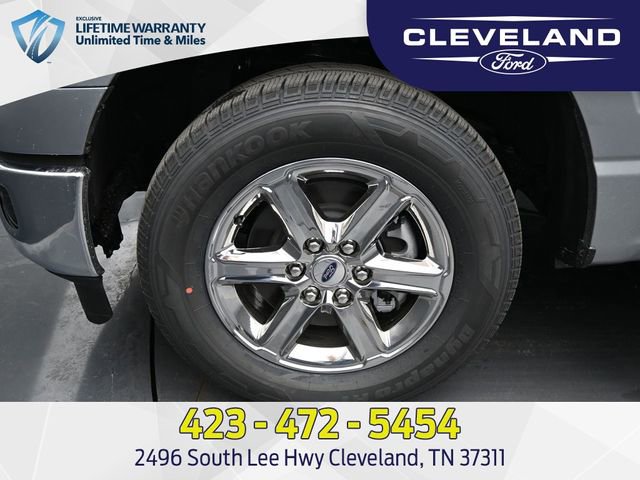 New 2025 Ford F150 XLT w/ Equipment Group 301A Standard image 9