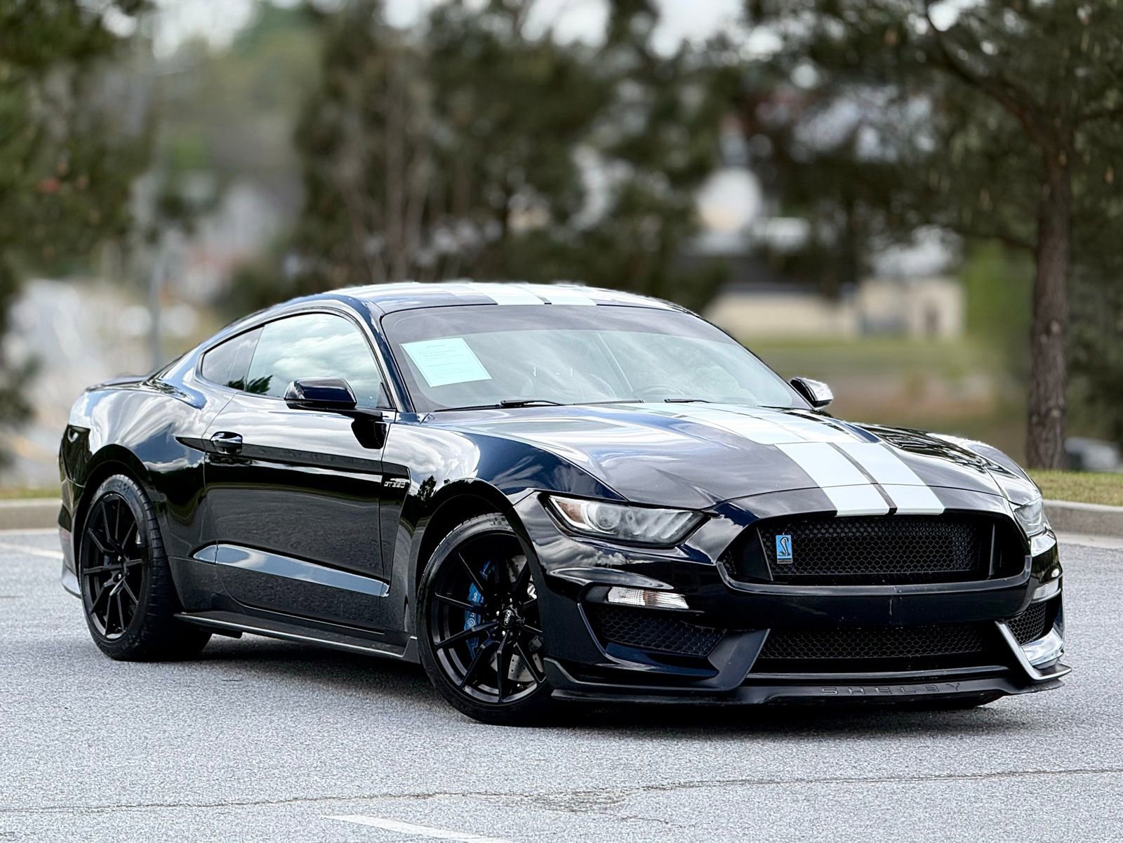 Used 2016 Ford Mustang Shelby GT350 w/ Technology Package image 12
