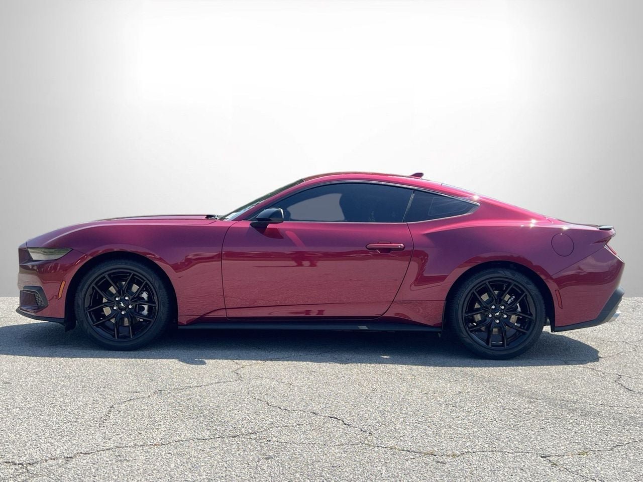 New 2026 Ford Mustang Coupe w/ Mustang Nite Pony Package RWD image 18