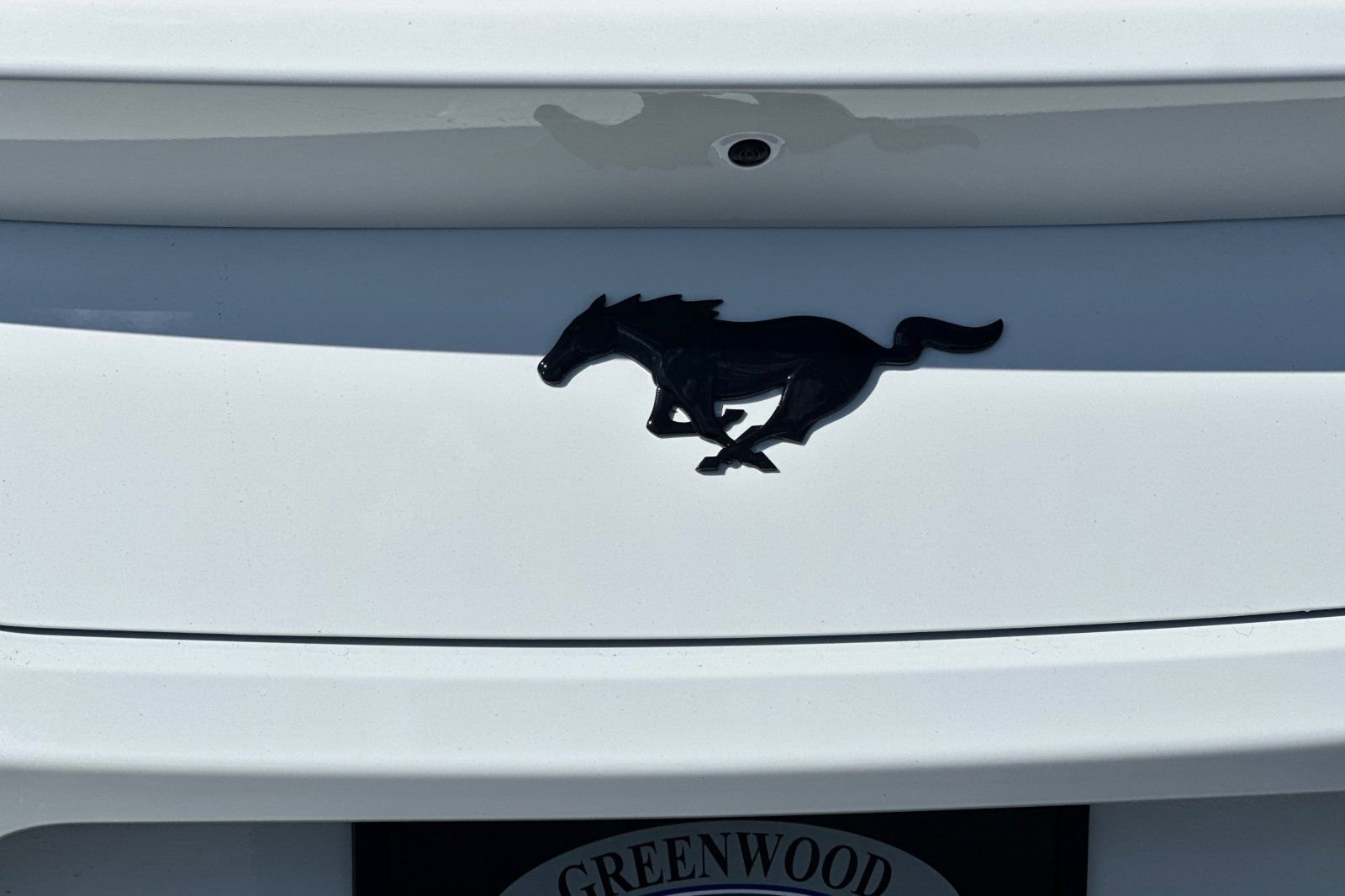 New 2025 Ford Mustang Coupe RWD image 30