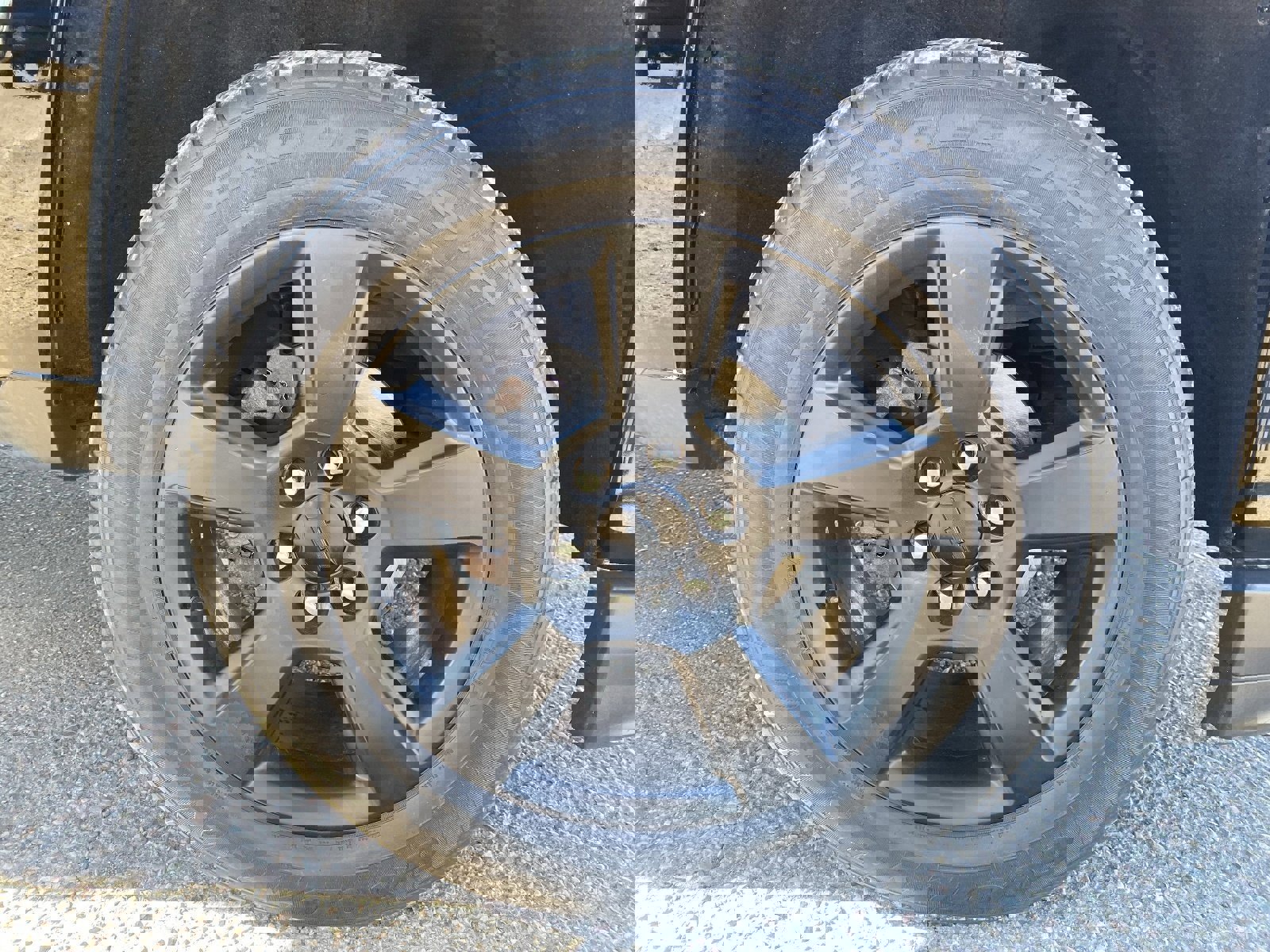 Used 2016 Chevrolet Silverado 1500 LT w/ All Star Edition image 10