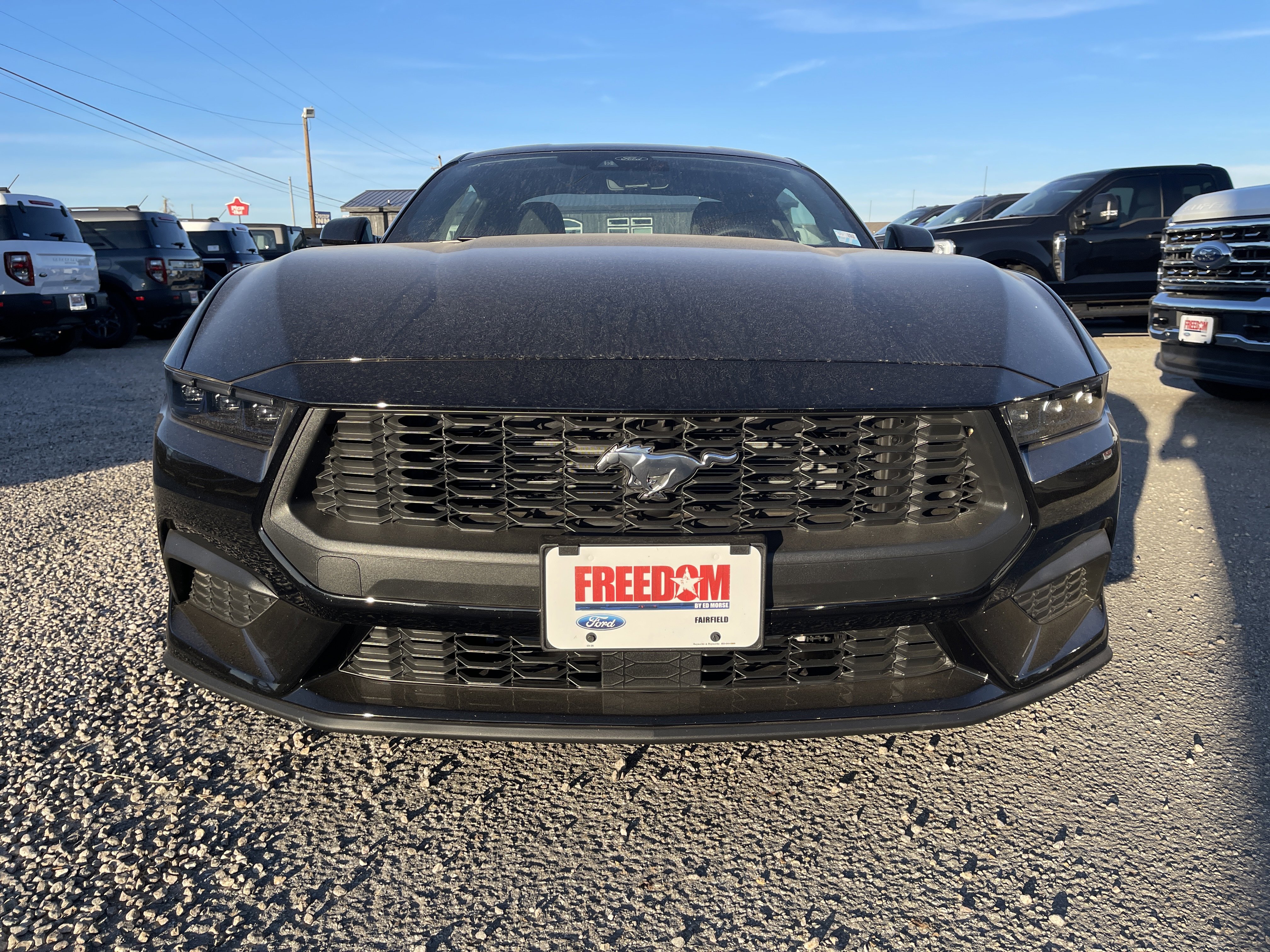 New 2025 Ford Mustang Coupe image 9