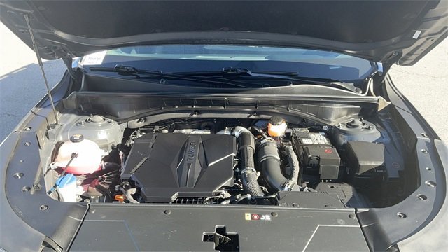 Certified 2024 Kia Sorento X-Line EX image 13