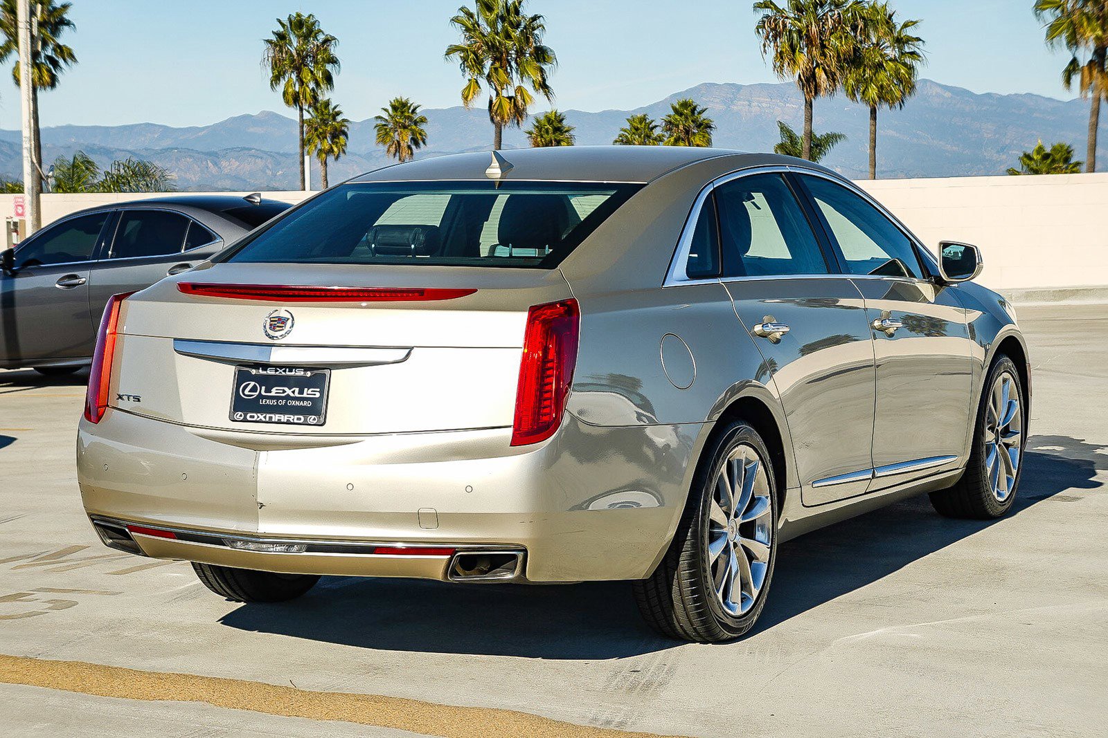 Used 2013 Cadillac XTS Luxury w/ Driver Awareness Package image 7