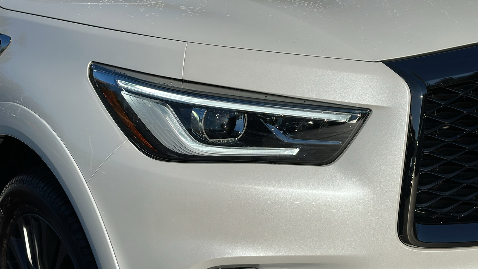 Certified 2024 INFINITI QX80 Premium Select w/ Cargo Package image 4