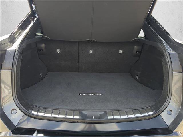 Used 2023 Lexus RZ 450e Premium w/ Cold Area Package image 6