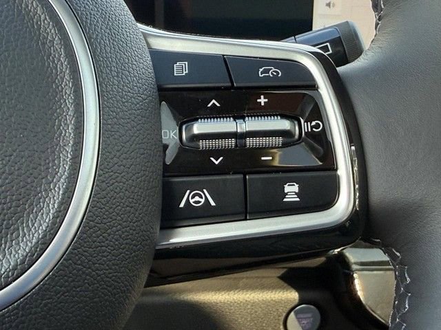 New 2025 Kia Carnival SX Prestige image 15