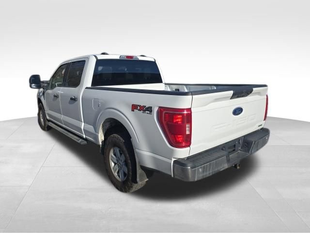 Used 2023 Ford F150 XLT w/ Equipment Group 301A Mid image 4