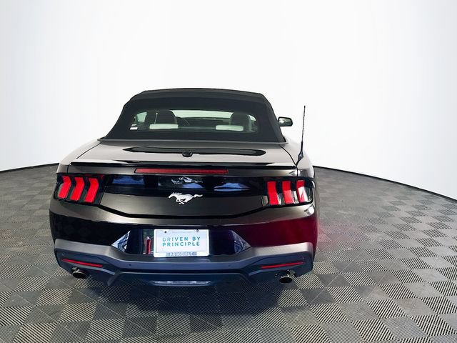 Used 2024 Ford Mustang Premium RWD image 7